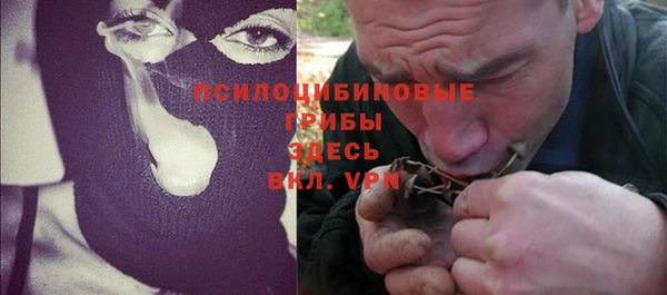 винт Алексин