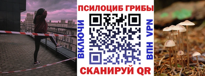 Псилоцибиновые грибы Psilocybe  как найти   Аша 