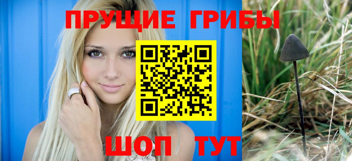 Галлюциногенные грибы MAGIC MUSHROOMS  Вход с VPN  Аша  Псилоцибиновые грибы мицелий 