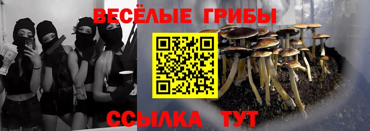 Псилоцибиновые грибы прущие грибы Аша