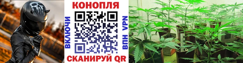 Канабис конопля Аша